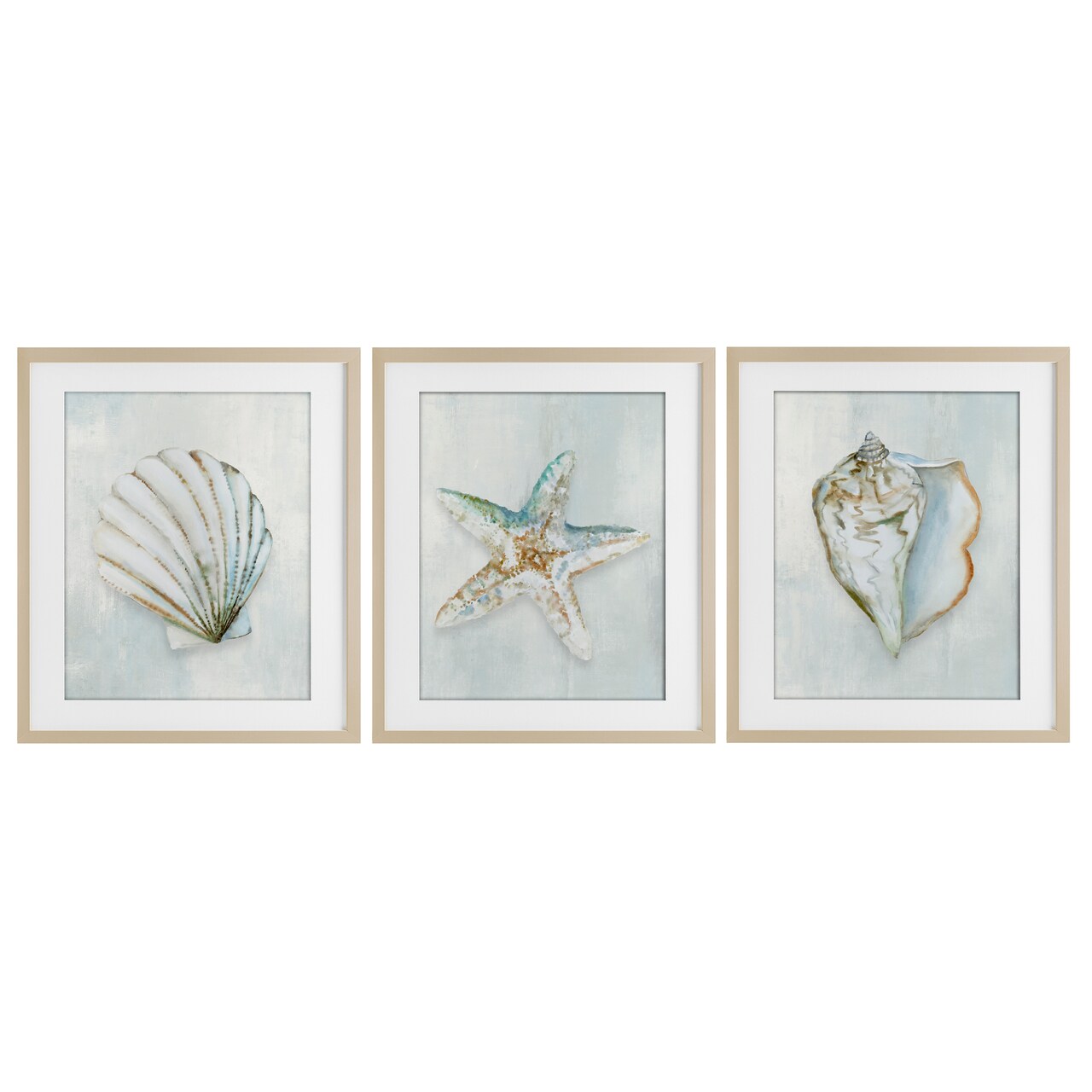 Stupell Industries Muted Sea Life Serenity 3pc Framed Print Under Glass Set, design by Hannah Dawson